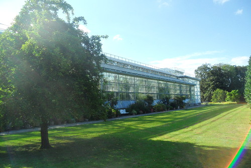 SAM_5803.JPG SAM_5803.JPG