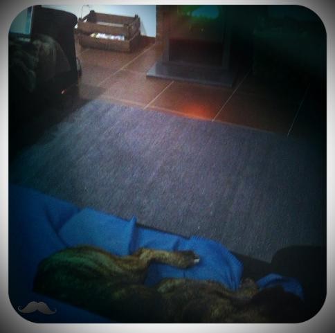 Sem títulovvv.JPG Sem títulovvv.JPG