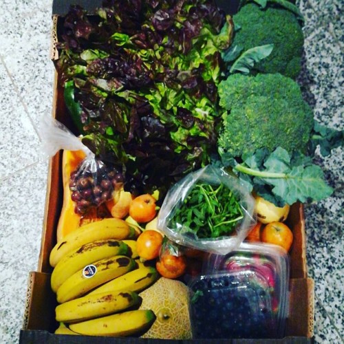 31906970_1090559631083797_3703026601093496832_n.jp 31906970_1090559631083797_3703026601093496832_n.jp