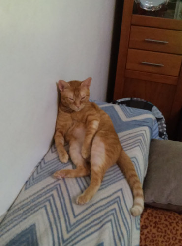 aindanuriscas.jpg aindanuriscas.jpg