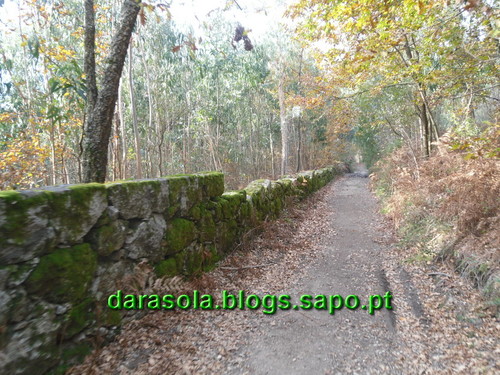 Trilho_Eiras_Famalicao_02.JPG