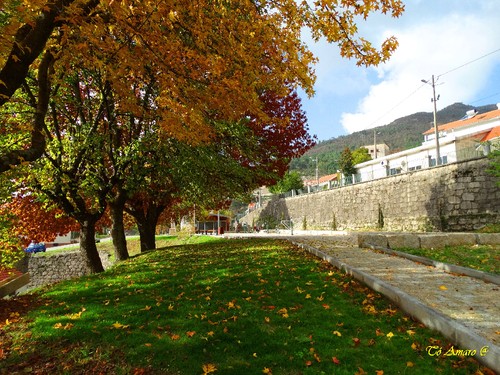 Fotos de Outono !!! 022.jpg