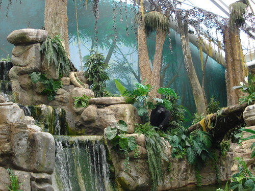 DSC05149.JPG DSC05149.JPG