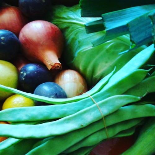 43122659_1218619001611192_5075348886449553408_n.jp 43122659_1218619001611192_5075348886449553408_n.jp