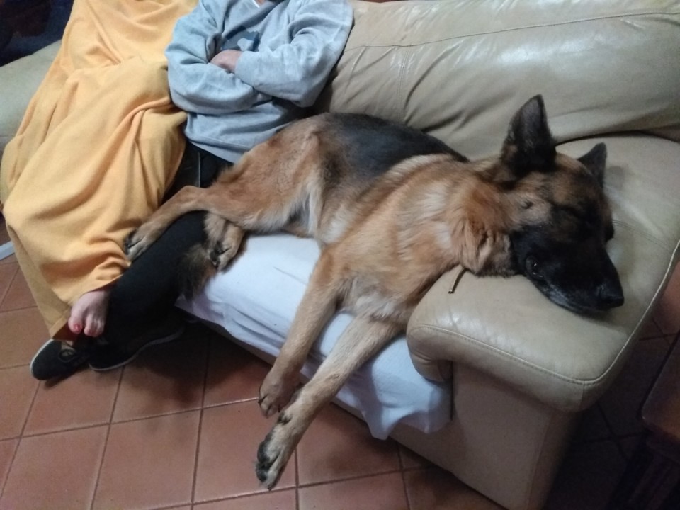 IMG_20200314_231904.jpg IMG_20200314_231904.jpg