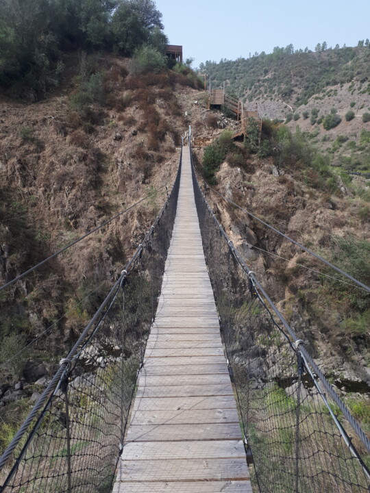 PONTE SUSPENSA VERTICAL.jpg