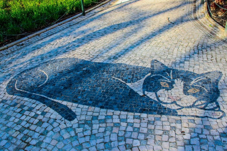 jardim cesario verde a 2.jpg