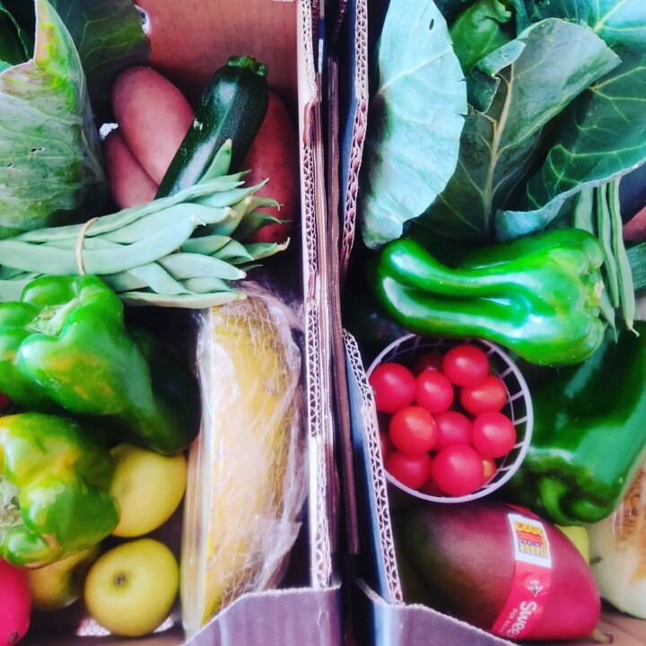 346847418_624721816222132_4876789732228686348_n.jp