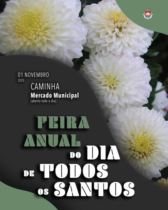 571704601_1461224782715297_927336694497401996_n.jp