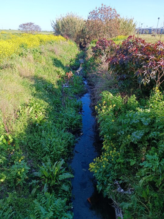Parque barranco do Poço dos Frangos (15).jpg