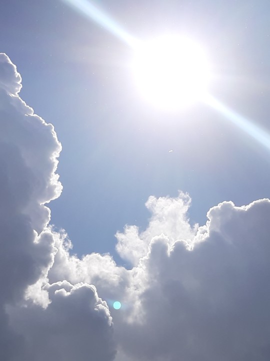 20201022_114532.jpg 20201022_114532.jpg