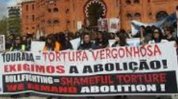 Manifestação contra a tourada.png