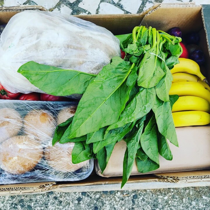 291142116_2350182251788189_3153680635757655598_n.j