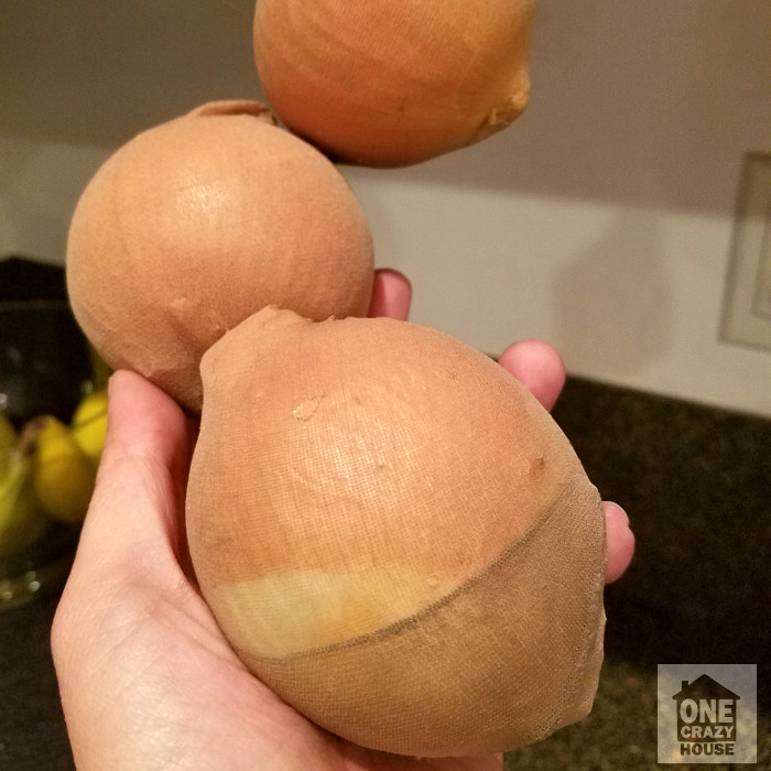 9-Unique-Ways-to-Use-Pantyhose (1).jpg 9-Unique-Ways-to-Use-Pantyhose (1).jpg