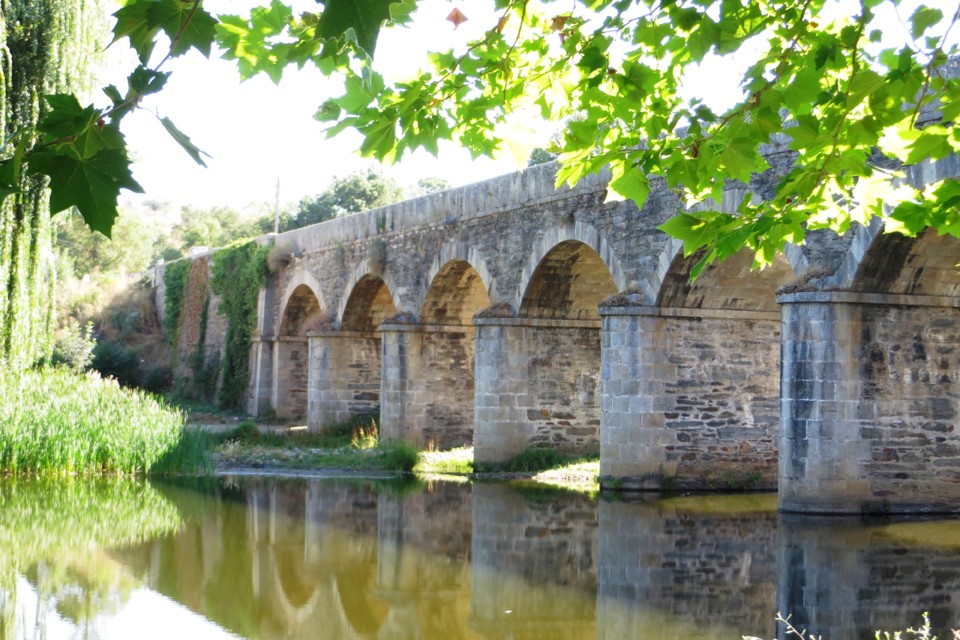 IMG_2797.JPG IMG_2797.JPG