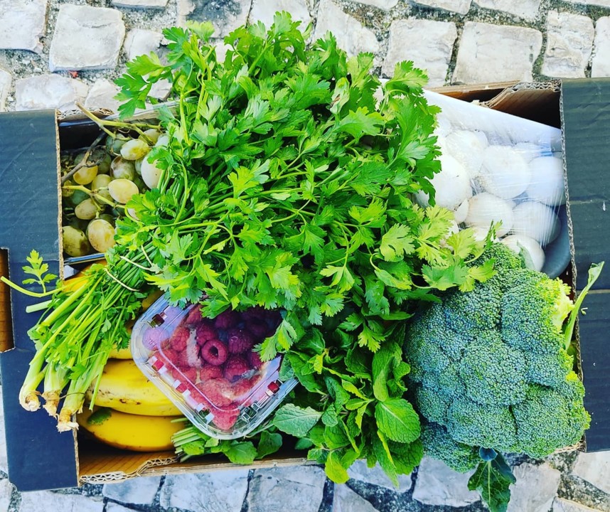 121296123_1837134333092986_3917388279072234857_o.j