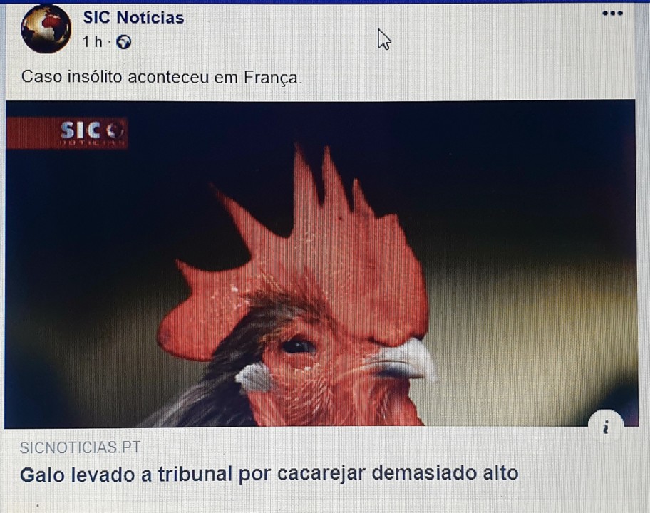 20190705_214228.jpg 20190705_214228.jpg