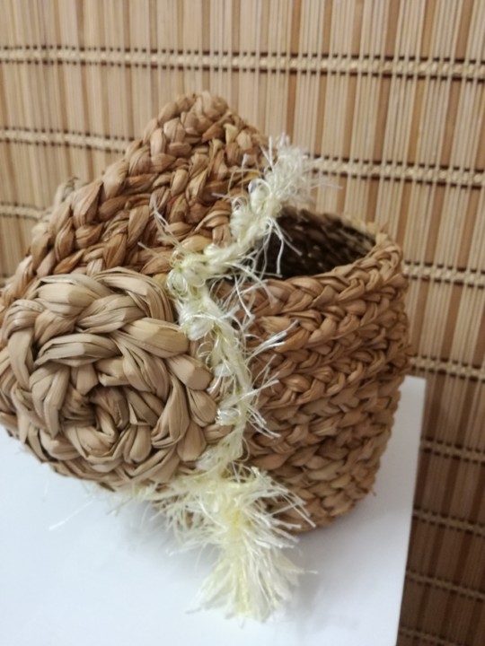 IMG_20210226_151220.jpg IMG_20210226_151220.jpg