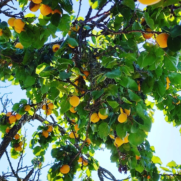 286204822_2329486350524446_6312144760532751283_n.j