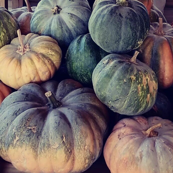 307185432_2414157222057358_5469200046058834099_n.j