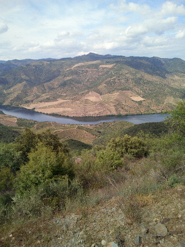 IMG_20170429_163203.jpg IMG_20170429_163203.jpg