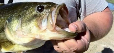 16558368_1541304275894786_1193581563_n (1).jpg