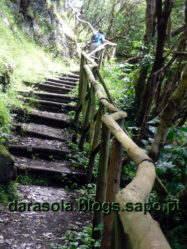 azores_flores_faja_lopo_Vaz_36.JPG azores_flores_faja_lopo_Vaz_36.JPG