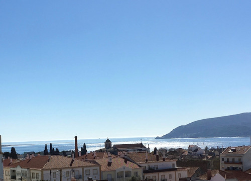 IMG_0595.jpg IMG_0595.jpg