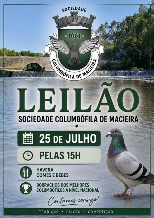 25 julho macieira.jpg