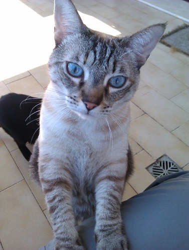 IMAG0012.jpg IMAG0012.jpg