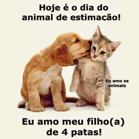 13419165_1724899171083316_2941593061491758200_n.jp 13419165_1724899171083316_2941593061491758200_n.jp