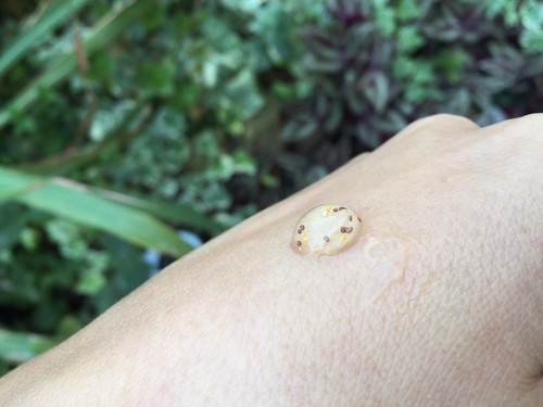 IMG_1228.JPG IMG_1228.JPG