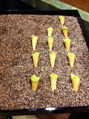 fotografia 2 (1).JPG fotografia 2 (1).JPG