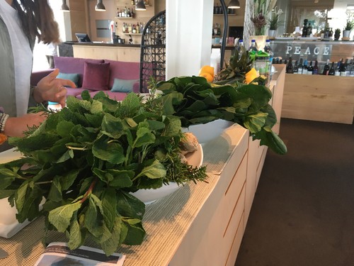 IMG_6417.JPG IMG_6417.JPG