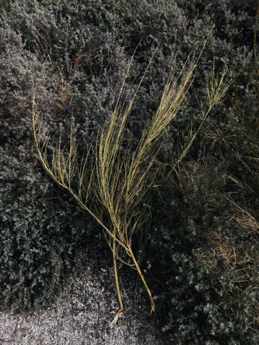 iPhone - Foto 2018-02-17 11_40_50.jpeg