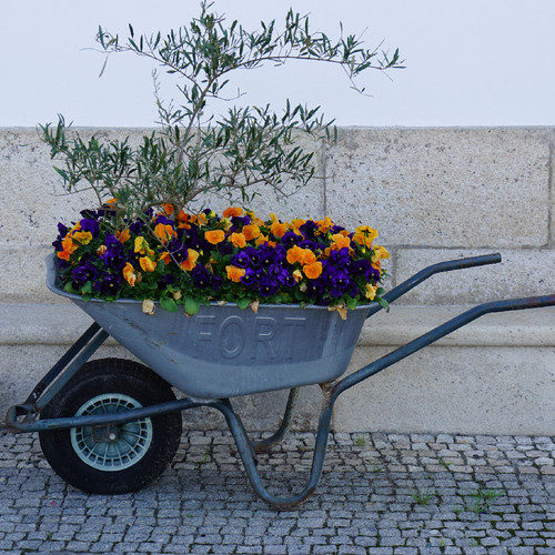 DSC03116.JPG DSC03116.JPG