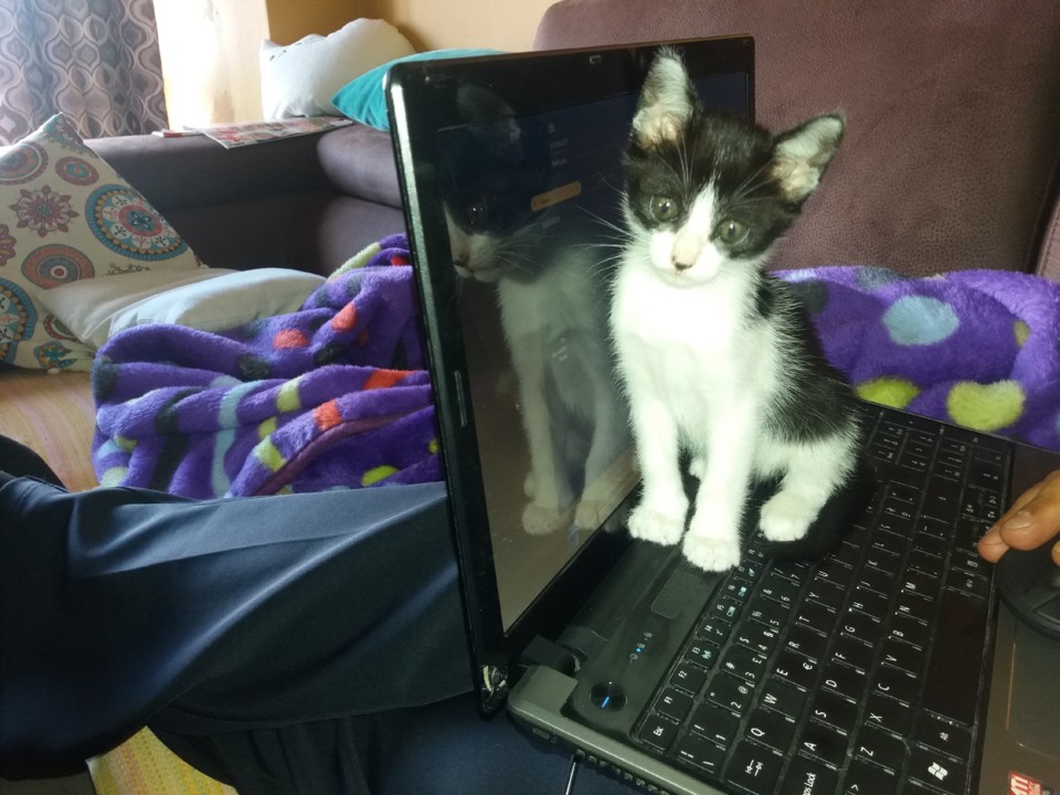 20190618_183536.jpg 20190618_183536.jpg