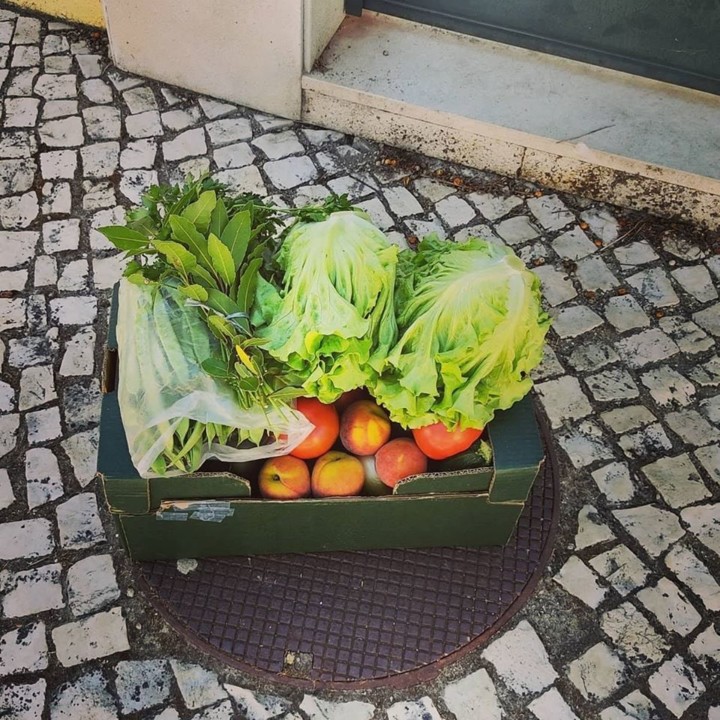 106418586_1741495465990207_6847393467255263050_o.j