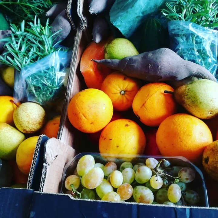 70809096_1471429132996843_7455187198556504064_n.jp