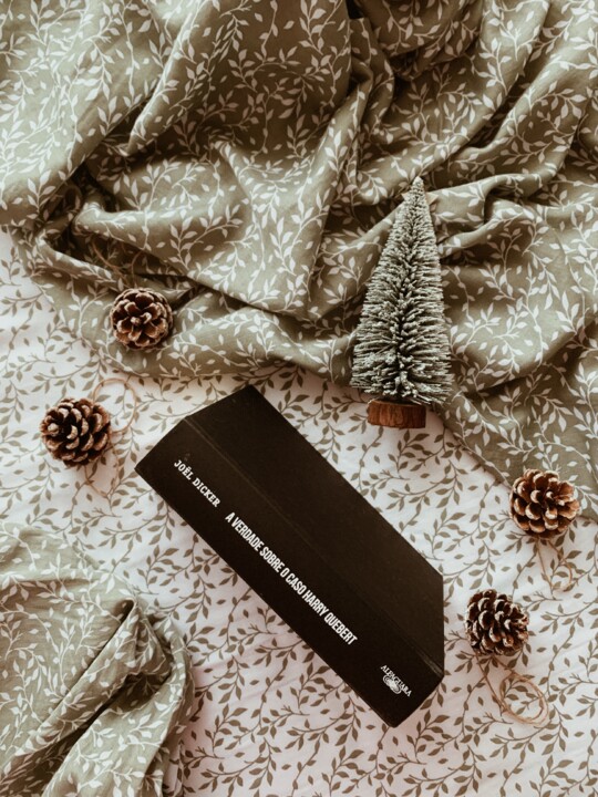 A Verdade Sobre o Caso Harry Quebert.JPG