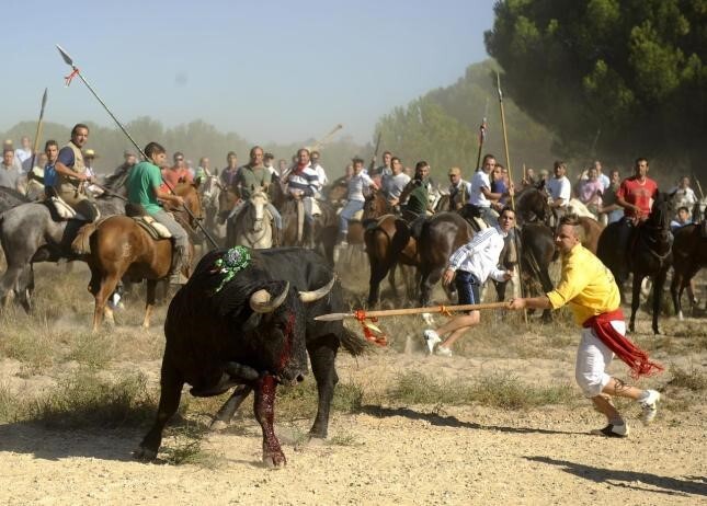 Toro de La Vega.jpeg
