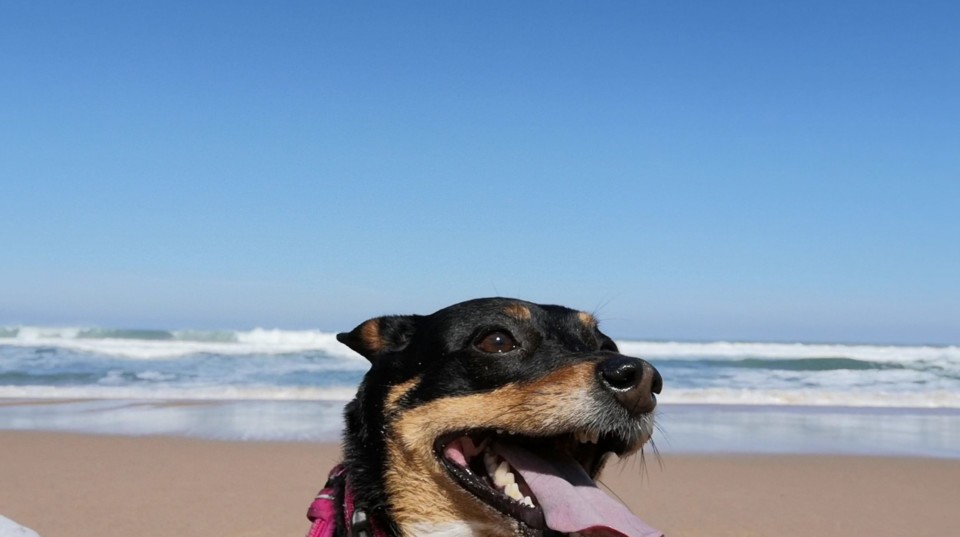 o teu coração sussurra_Maggie.jpg