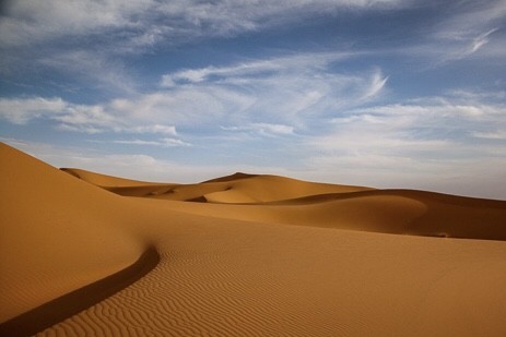 C0734A85-493A-41DA-85BF-926F78FD0034.jpeg C0734A85-493A-41DA-85BF-926F78FD0034.jpeg