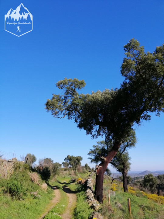 Photo_1583863879759.jpg Photo_1583863879759.jpg