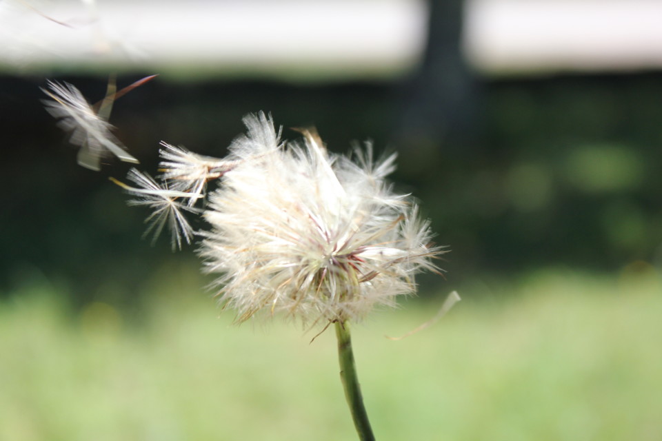 Férias 2012 - Norte 097.JPG