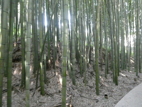 22c_Águeda (10).JPG