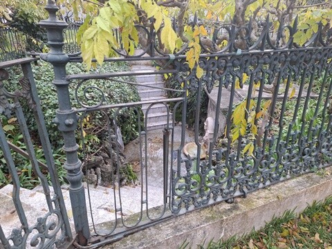 19b_Caldas_das_Taipas_Visita (52).jpg