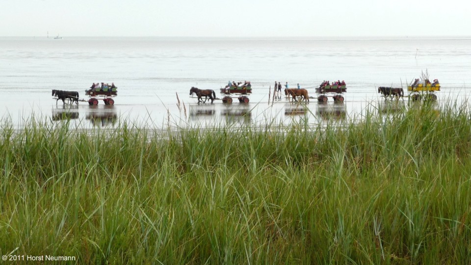 2011-07-16 Cuxhaven 117.JPG