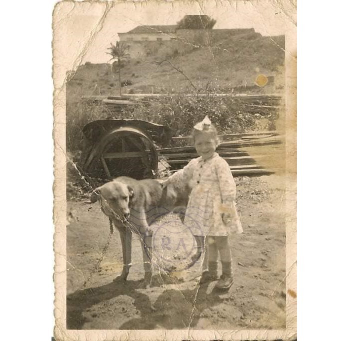 Francelina Dias pequena com selo.jpg Francelina Dias pequena com selo.jpg