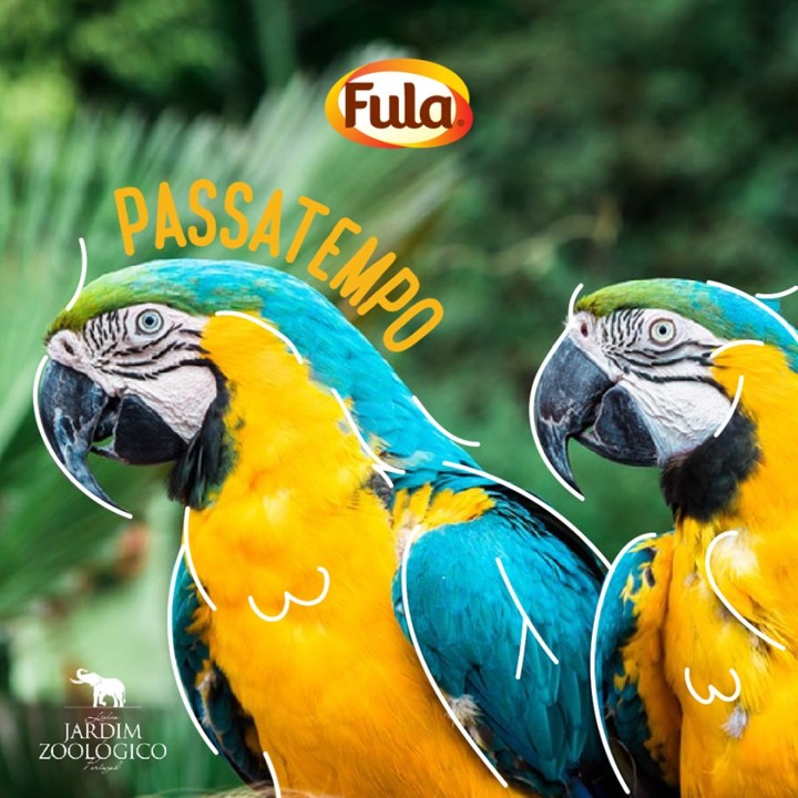 61423836_2374654122598611_6676577810397528064_n.jp